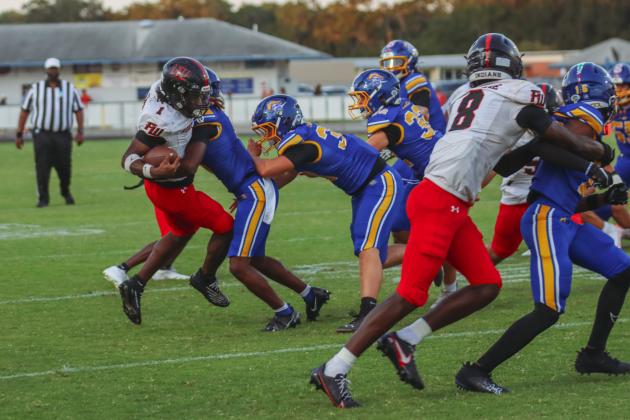 Pirates finished Week Four undefeated. Photo by Ashley Chandler/News-Leader