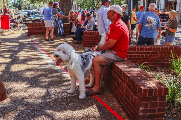 The 29th Annual 8 Flags Car Show was held Oct. 18 in Downtown Fernandina Beach. Photo by Ashley Chandler/News-Leader