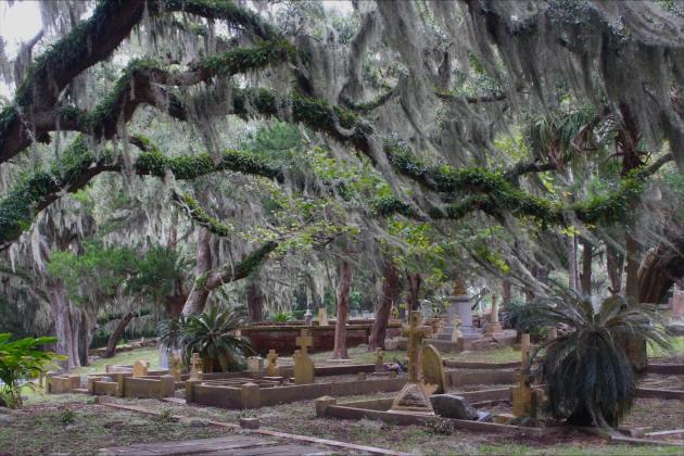 The Bosque Bello Cemetery in Fernandina Beach during Saturday’s Graveside Chronicles. 