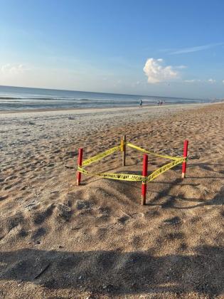 Photo 1: A sea turtle nest on Peters Point Beach marked by Amelia Island Sea Turtle Watch in July. Photos by Marisa DeMar/News-Leader 