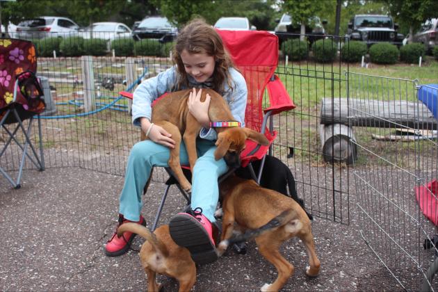 Puppy love at the Nassau Humane Society's Barktoberfest at Mocama Beer Company on Saturday.  By Marisa DeMar/News-Leader 