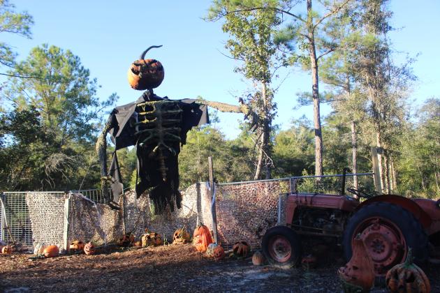Spooky scenes Thursday at The Timber Farm. Photo by Marisa DeMar/News-Leader