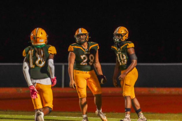 Hornets in a previous home game. Photo by Ashley Chandler/News-Leader
