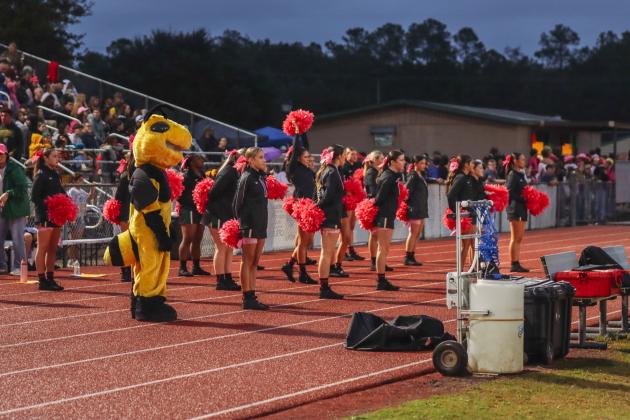 Pirates vs. Hornets football. Photo by Ashley Chandler/News-Leader