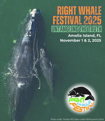 Right Whale Festival Program
