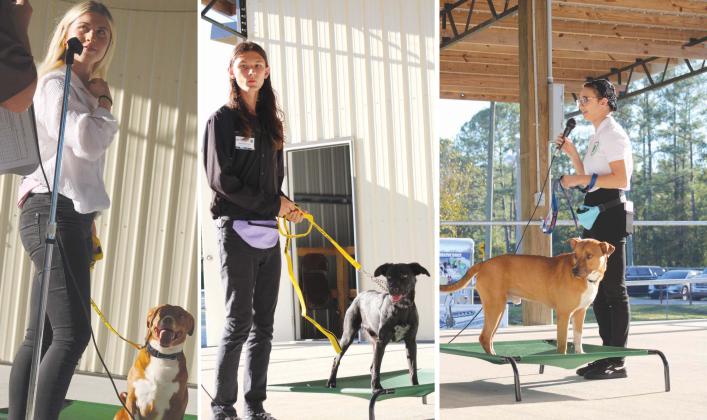 The Nassau County 4-H Extension Office’s Dog Program held its competition at the Northeast Florida Fair. The program aims to teach youth important dog-handling skills and necessary pet-care knowledge. PHOTOS BY ROXIE OAKES, 4-H MEMBER OF THE HEAD, HEART AND ART 4-H CLUB