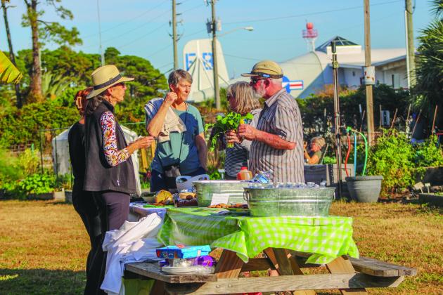 Photos by Marisa DeMar/News-Leader The Airport Garden Group hosts their open house at the Airport Gardens in Fernandina Beach on Saturday.