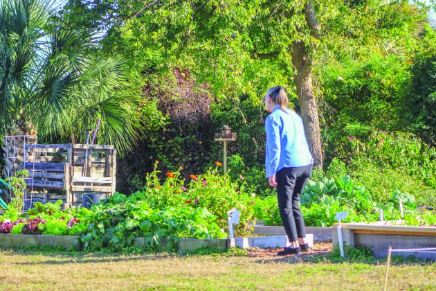 The Airport Garden Group hosts their open house at the Airport Gardens in Fernandina Beach on Saturday.