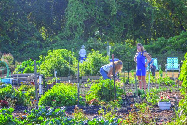 The Airport Garden Group hosts their open house at the Airport Gardens in Fernandina Beach on Saturday.