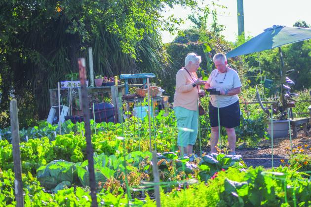 The Airport Garden Group hosts their open house at the Airport Gardens in Fernandina Beach on Saturday.