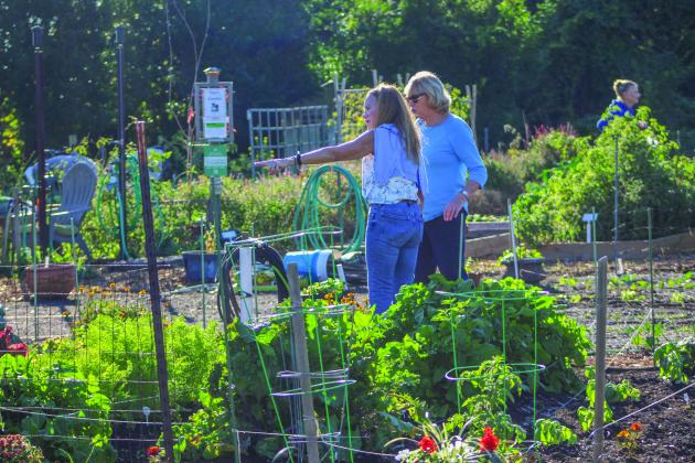 The Airport Garden Group hosts their open house at the Airport Gardens in Fernandina Beach on Saturday.