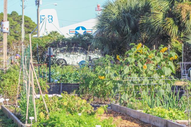 The Airport Garden Group hosts their open house at the Airport Gardens in Fernandina Beach on Saturday.