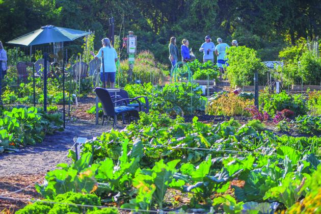 The Airport Garden Group hosts their open house at the Airport Gardens in Fernandina Beach on Saturday.