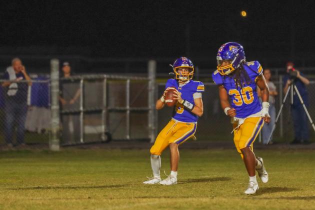 Pirates quarterback Ian Miller looks to pass. Photo by Ashley Chandler/News-Leader