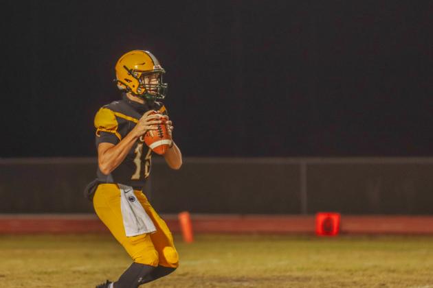 Hornet football on Oct. 31. Photo by Ashley Chandler/News-Leader