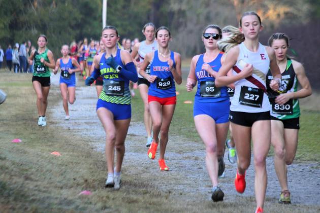 Fernandina Beach girls cross country in the FHSAA 2A Region 1 meet. Photo by Stephanie Nichols