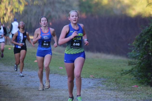 Fernandina Beach girls cross country in the FHSAA 2A Region 1 meet. Photo by Stephanie Nichols
