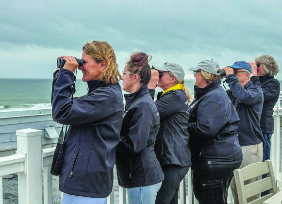 Amelia Island Whale Ambassadors celebrate the first whale sighting at the Seaside Amelia Inn on Tuesday, Dec. 2. By Marisa DeMar