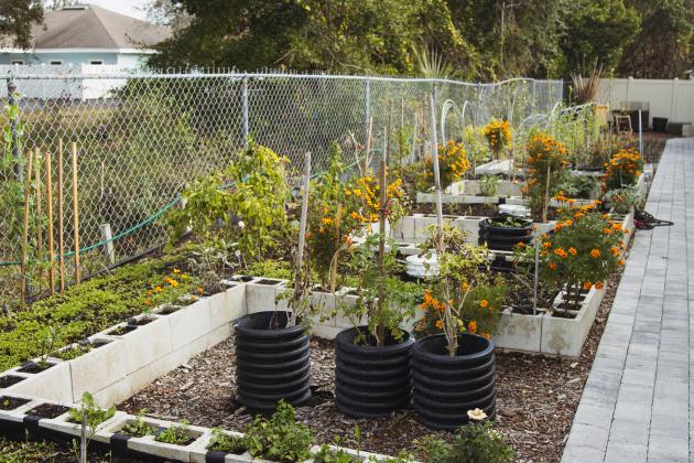 A portion of the garden located at the Barnabas Center in Fernandina Beach on Monday. Photo by Ashley Chandler/News-Leader
