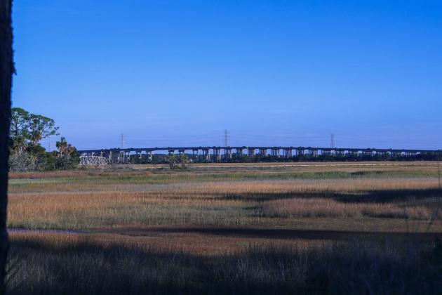 The Thomas J. Shave Jr. Bridge seen from the Piney Island residential area. Nassau County acquired a parcel of land in the Piney Island Viewshed it says will eventually will offer passive recreation. Photo by Ashley Chandler/News-Leader