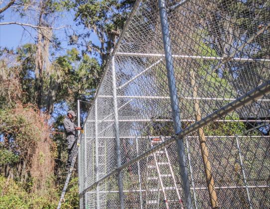 Tony lays roof panels on the 13-foot enclosure on Jan 1.  By Marisa DeMar/News-Leader 