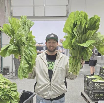 Tim Frye, the operations director of Local Fare Jax, holds mustard greens to be placed in the farm bags.