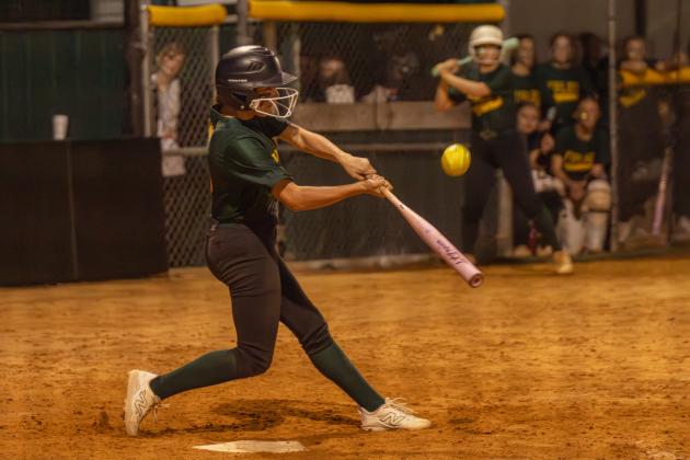 YHS and WNHS softball faced off in Yulee on Feb. 19. The Warriors beat the Hornets 4-0. Photo by Ashley Chandler/News-Leader