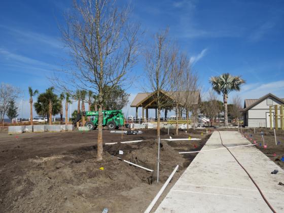 With the installation of trees, the Amelia River Waterfront Park is one step closer to opening to the public. Photo by Amy Mulligan/News-Leader