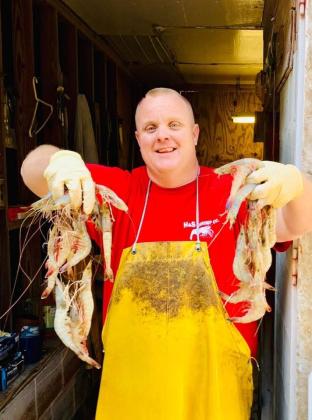 Robert Haddock, owner of H&S Shrimp Company holds locally caught shrimp.  Submitted photo