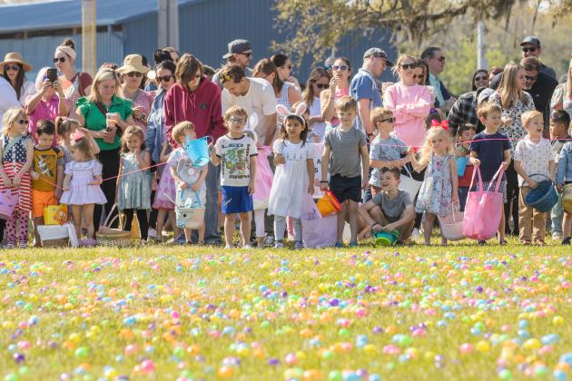 Thousands of colorful plastic eggs were scattered at Central Park on Saturday for local children to gather as part of Fernandina Beach’s second annual Easter Egg Hunt. Photo by Ashley Chandler/News-Leader