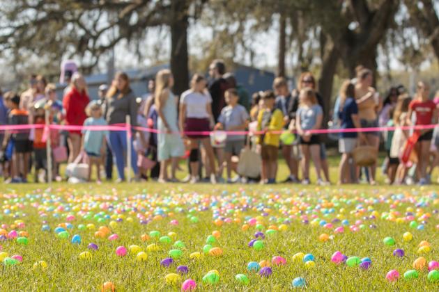 Thousands of colorful plastic eggs were scattered at Central Park on Saturday for local children to gather as part of Fernandina Beach’s second annual Easter Egg Hunt. Photo by Ashley Chandler/News-Leader