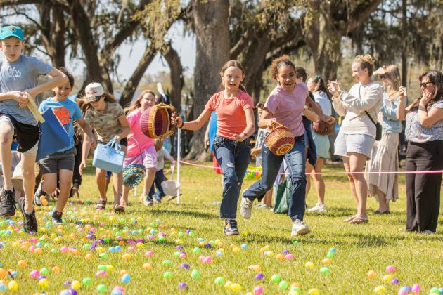 Thousands of colorful plastic eggs were scattered at Central Park on Saturday for local children to gather as part of Fernandina Beach’s second annual Easter Egg Hunt. Photo by Ashley Chandler/News-Leader