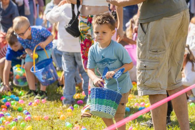 Thousands of colorful plastic eggs were scattered at Central Park on Saturday for local children to gather as part of Fernandina Beach’s second annual Easter Egg Hunt. Photo by Ashley Chandler/News-Leader