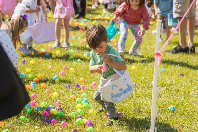 Thousands of colorful plastic eggs were scattered at Central Park on Saturday for local children to gather as part of Fernandina Beach’s second annual Easter Egg Hunt. Photo by Ashley Chandler/News-Leader