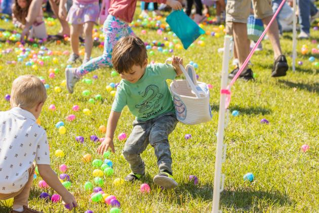 Thousands of colorful plastic eggs were scattered at Central Park on Saturday for local children to gather as part of Fernandina Beach’s second annual Easter Egg Hunt. Photo by Ashley Chandler/News-Leader