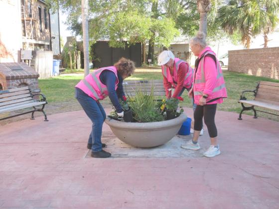 Julia Lizza, Vida Walden and Peggy Roselle plant flowers in a container in Downtown Fernandina Beach’s Pocket Park on Thursday. Photo by Amy Mulligan/News-Leader