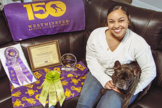 Christine Roldan and Hero the French bulldog sit alongside their ribbons from the Westminster Dog Show. Photo by Ashley Chandler/News-Leader