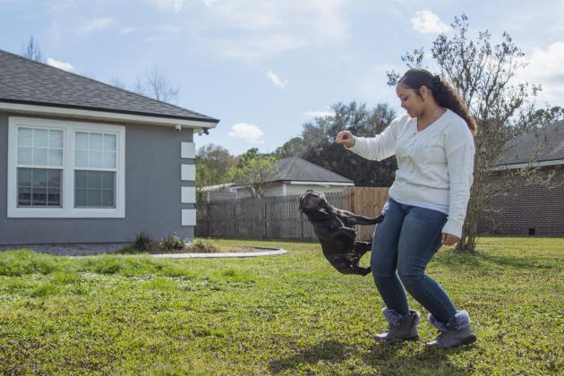 Christine Roldan works with Hero the French bulldog in February at their home in Callahan. Photo by Ashley Chandler/News-Leader