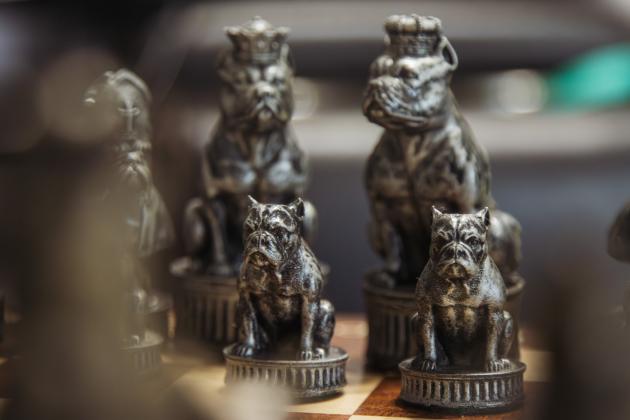 At Christine Roldan's parents house, a custom chess board is displayed prominently on the living room coffee table. The pieces feature different bully breeds. Photo by Ashley Chandler/News-Leader