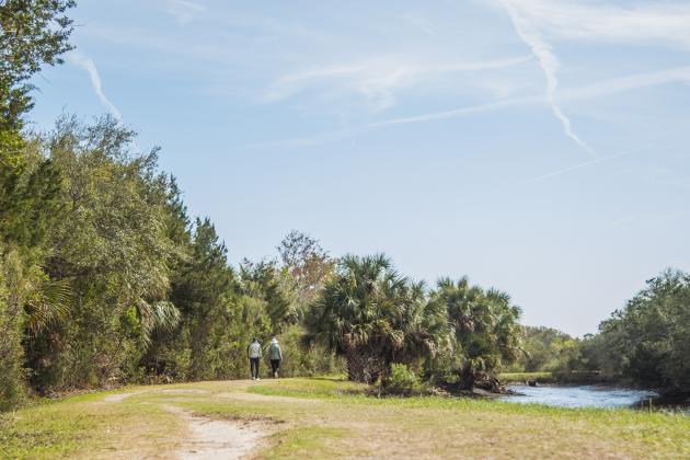 The Ron Sapp Egans Creek Greenway trail is a popular outdoor spot in Fernandina Beach. Unfortunately for those who suffer from allergies, the trail is booming with blooms on the trees and flowering plants as Nassau County welcomes Spring. Photo by Ashley Chandler/News-Leader