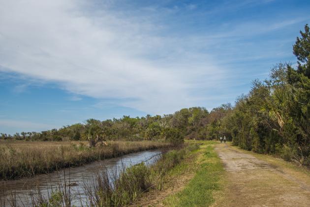 The Ron Sapp Egans Creek Greenway trail is a popular outdoor spot in Fernandina Beach. Unfortunately for those who suffer from allergies, the trail is booming with blooms on the trees and flowering plants as Nassau County welcomes Spring. Photo by Ashley Chandler/News-Leader