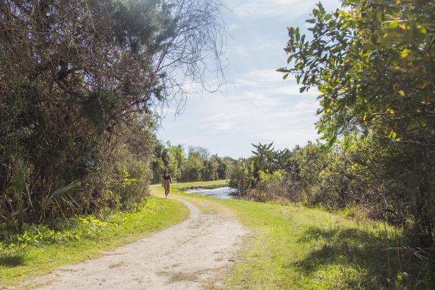 The Ron Sapp Egans Creek Greenway trail is a popular outdoor spot in Fernandina Beach. Unfortunately for those who suffer from allergies, the trail is booming with blooms on the trees and flowering plants as Nassau County welcomes Spring. Photo by Ashley Chandler/News-Leader