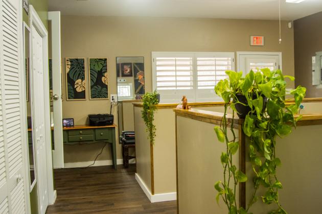 Plants are stationed throughout The Salty Fox Tattoo and Piercing on Sadler Road. Photo by Ashley Chandler/News-Leader