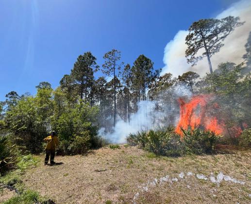 Residents were briefly evacuated when Nassau County Fire Rescue responded to a large brush fire active near Keel Court in Fernandina Beach. Photo by Marisa DeMar/News-Leader