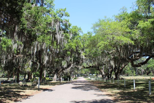 Bosque Bello cemetery is one of the latest properties in Nassau County to achieve a Level 1 Arboretum Accreditation from ArbNet. Photo by Amy Mulligan/News-Leader