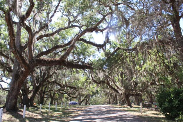 Bosque Bello cemetery is one of the latest properties in Nassau County to achieve a Level 1 Arboretum Accreditation from ArbNet. Photo by Amy Mulligan/News-Leader