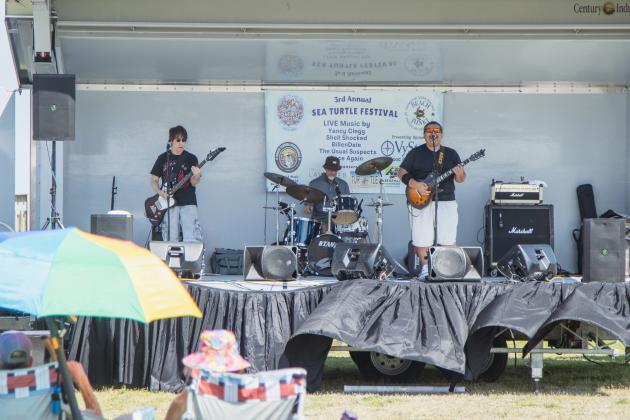 Turtle Fest 2026. Photo by Ashley Chandler/News-Leader