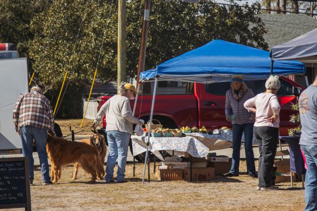 Visitors peruse the Midweek Farmers Market in Fernandina Beach earlier this year. The market is on a hiatus while parking requirements are sorted out. Photo by Ashley Chandler/News-Leader