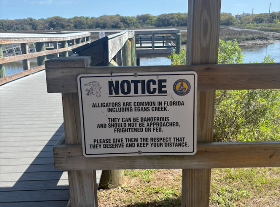 Alligator notice sign at Egan's Creek Park in Fernandina Beach. By Marisa DeMar/News-Leader 