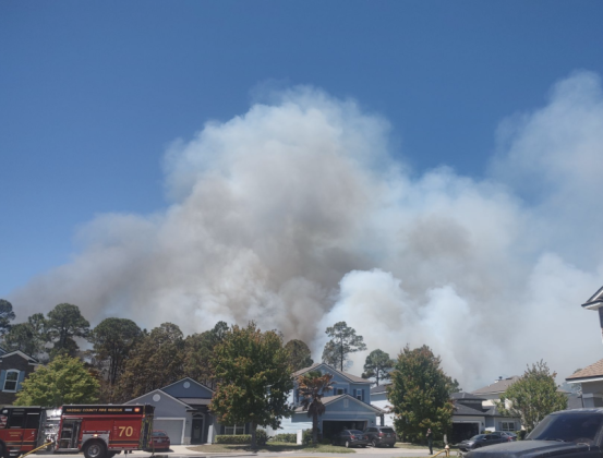 Resident captures photo of thick smoke from the wooded area behind homes in Harbor Concourse. Submitted photo